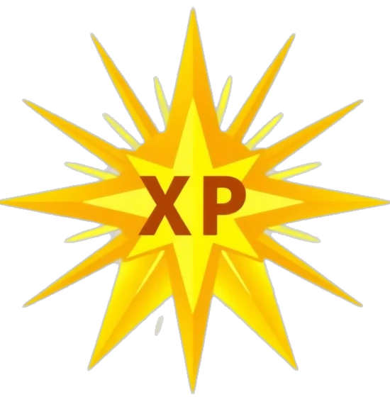 Experience
